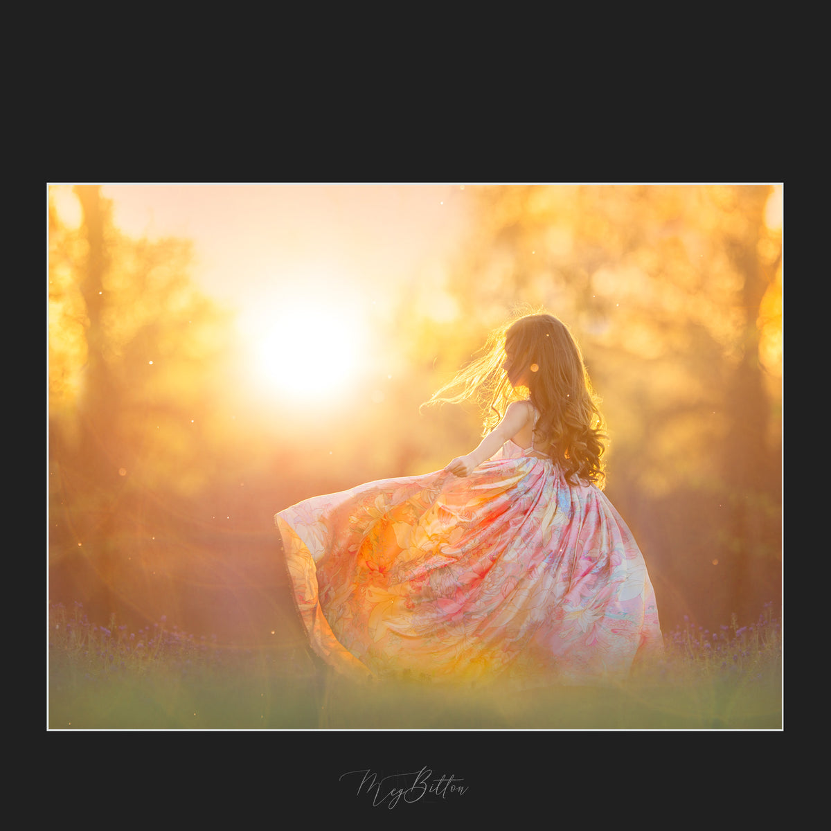 Golden October Light Flare Overlays - Meg Bitton Productions