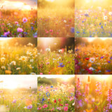 Ultimate Golden Hour Wildflowers Background Bundle