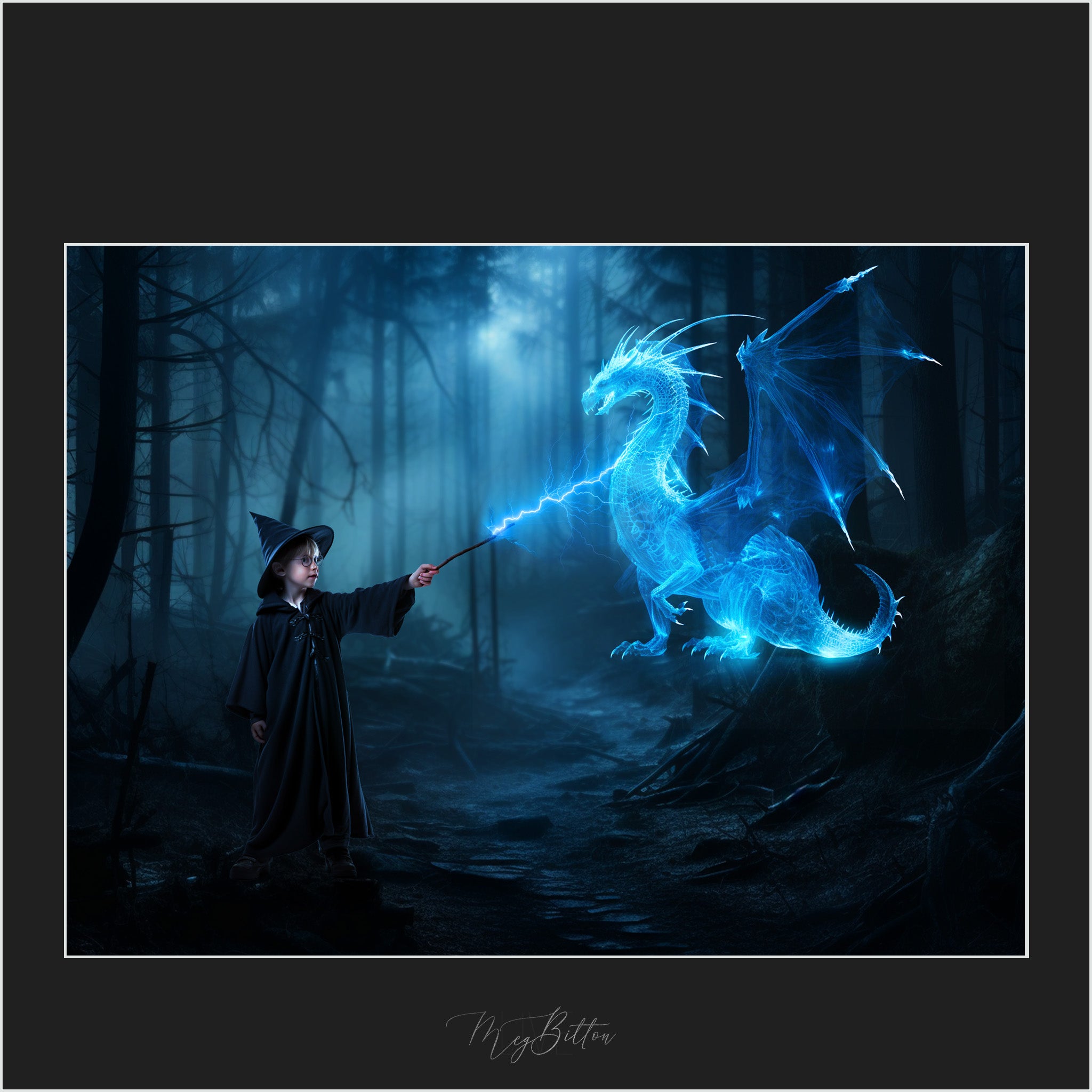 Magical Wizardly Animal Light Overlays