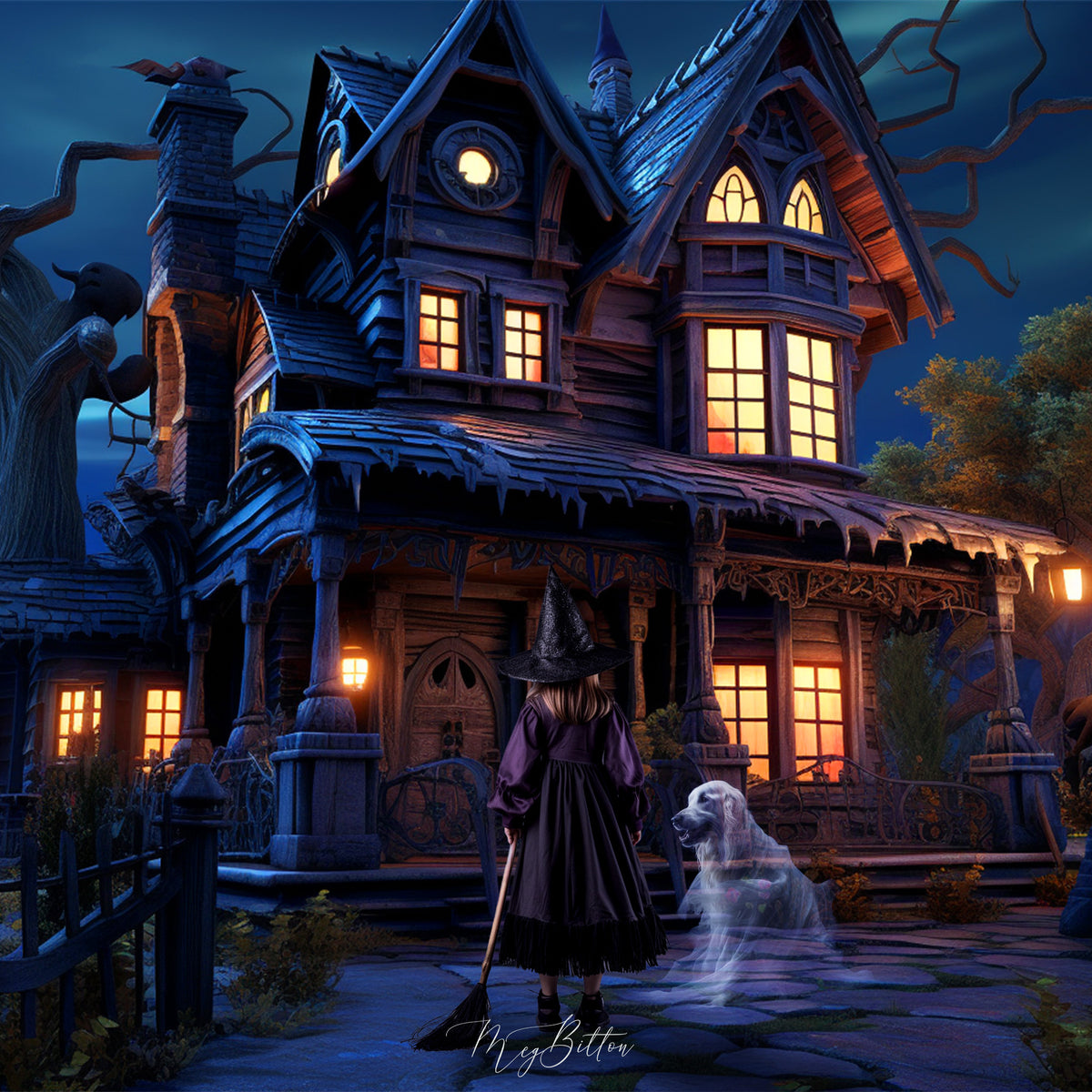 The Haunted House Kit - Meg Bitton Productions