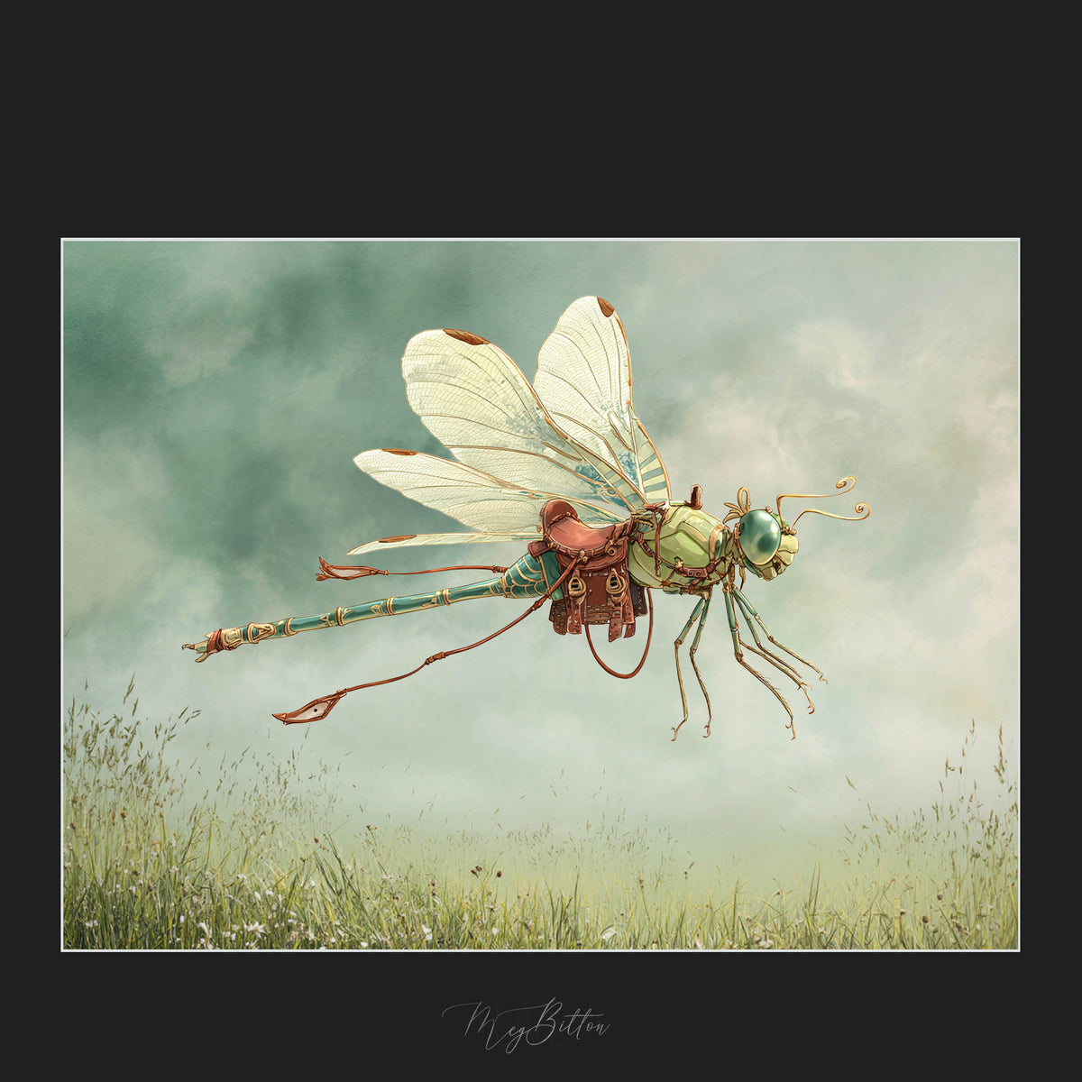 Magical Saddled Dragonfly Overlays