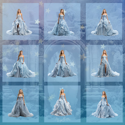 Ice Princess Model Overlays - Meg Bitton Productions