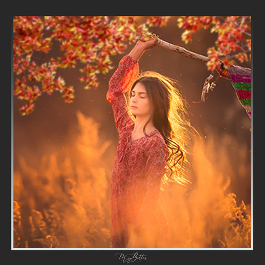Magical Shoot Throughs-Sun Kissed Autumn Leaves - Meg Bitton Productions