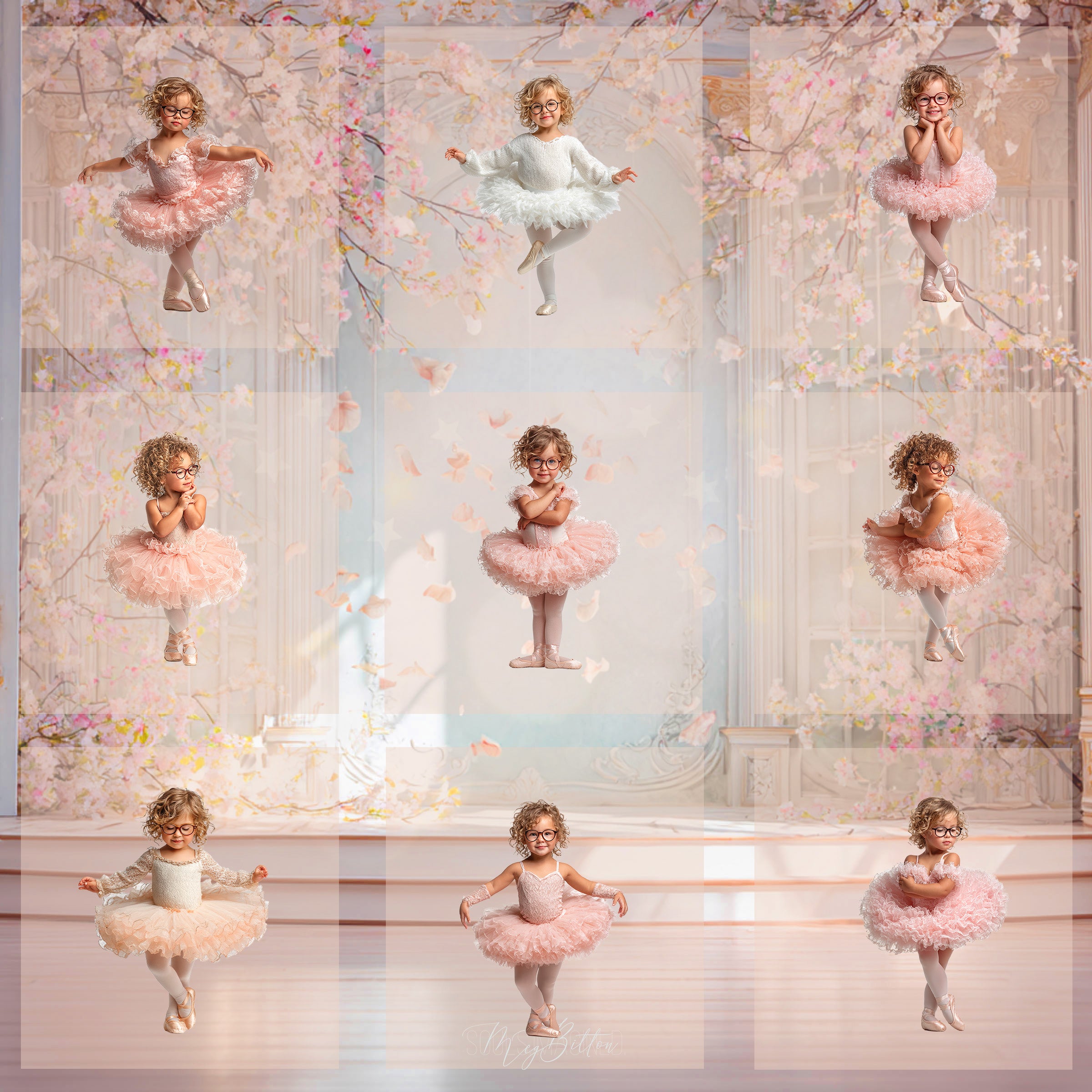 Magical Little Ballerina Model Overlays