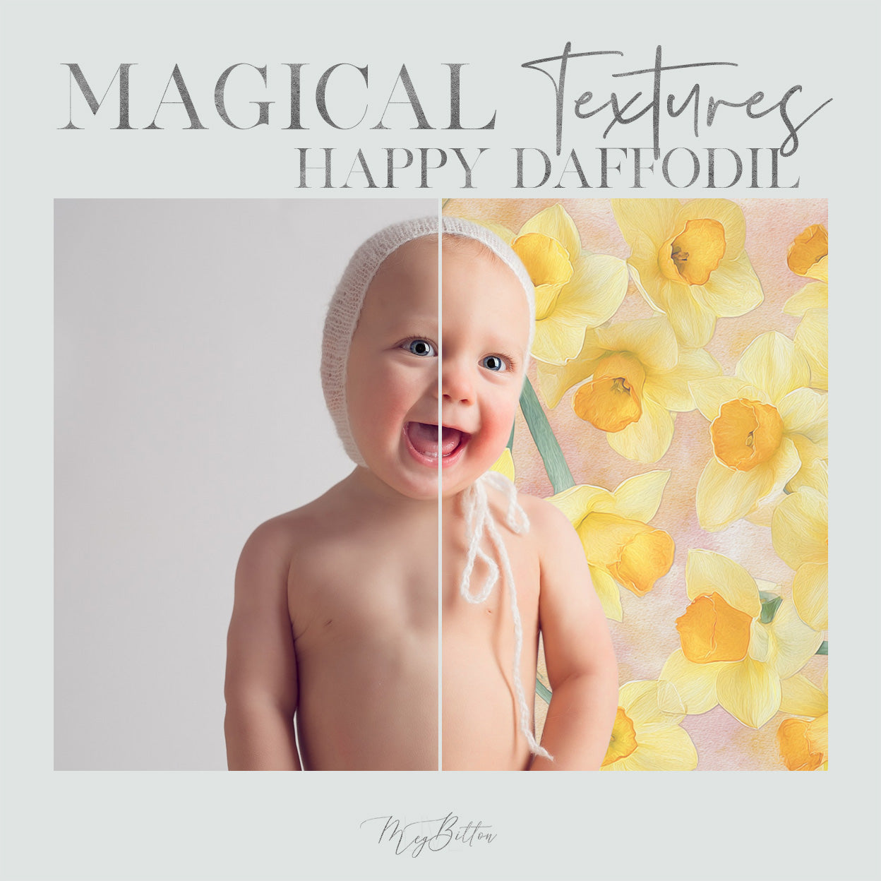 Magical Happy Daffodil Textures