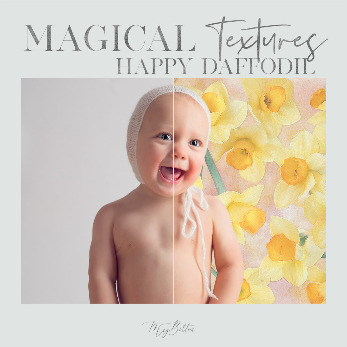 Magical Happy Daffodil Textures