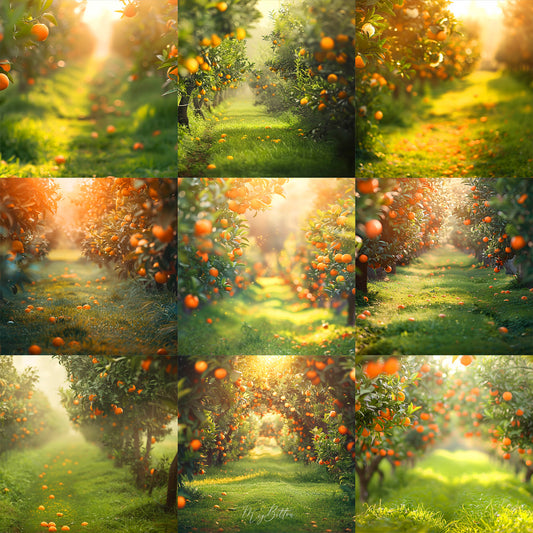 Ultimate Orange Grove Background Bundle