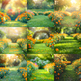 Ultimate Marigold Background Bundle