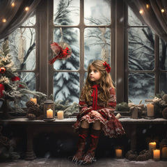The Rustic Holiday Window Kit - Meg Bitton Productions