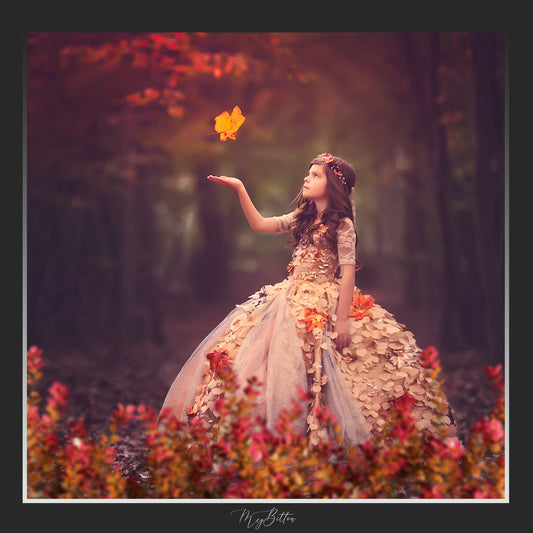 Magical Shoot Throughs-Rich Autumn Foliage - Meg Bitton Productions