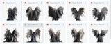 Elegant Black Feathered Wing Overlays - Meg Bitton Productions