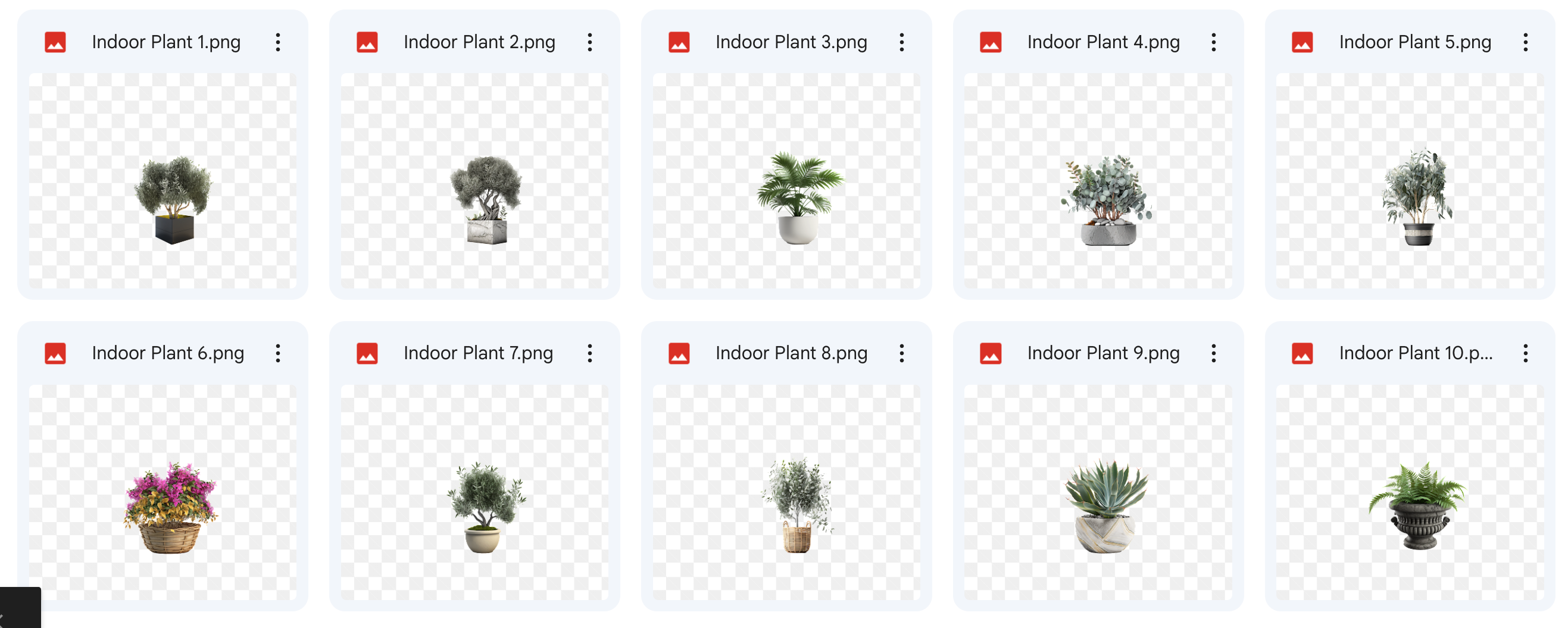 Magical Indoor Plants Magical Indoor Plants