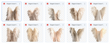 Magical Elegant Cream Feathered Wings - Meg Bitton Productions