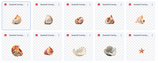 Magical Digital Overlays: Seashells - Meg Bitton Productions
