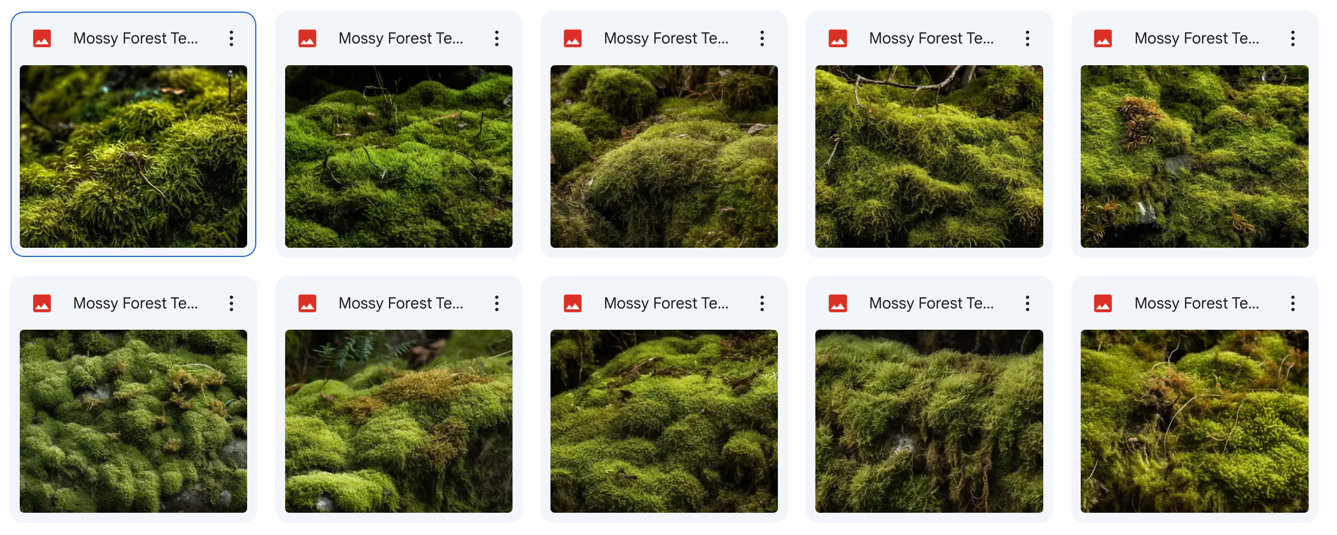 Magical Mossy Forest Textures - Meg Bitton Productions