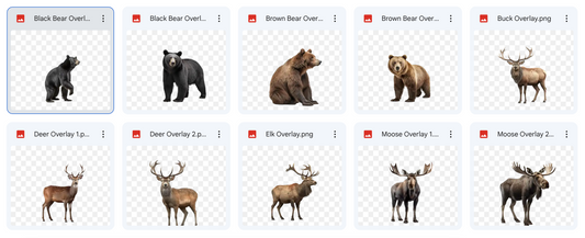 Magical Digital Overlays: Large Forest Animals - Meg Bitton Productions