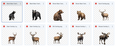 Magical Digital Overlays: Large Forest Animals - Meg Bitton Productions