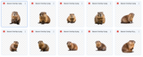 Magical Digital Overlay: Beavers - Meg Bitton Productions