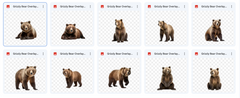 Magical Digital Overlays: Grizzly Bears - Meg Bitton Productions