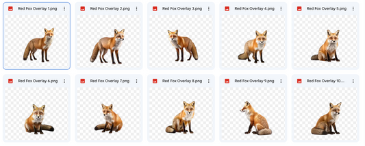 Magical Digital Overlays: Red Foxes - Meg Bitton Productions