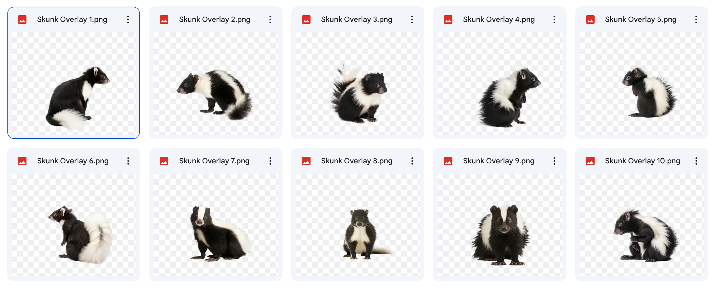 Magical Digital Overlays: Skunks - Meg Bitton Productions