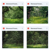 Sherwood Forest Background Bundle