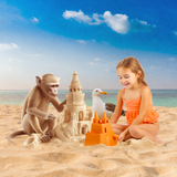 The Sandcastle Bundle - Meg Bitton Productions