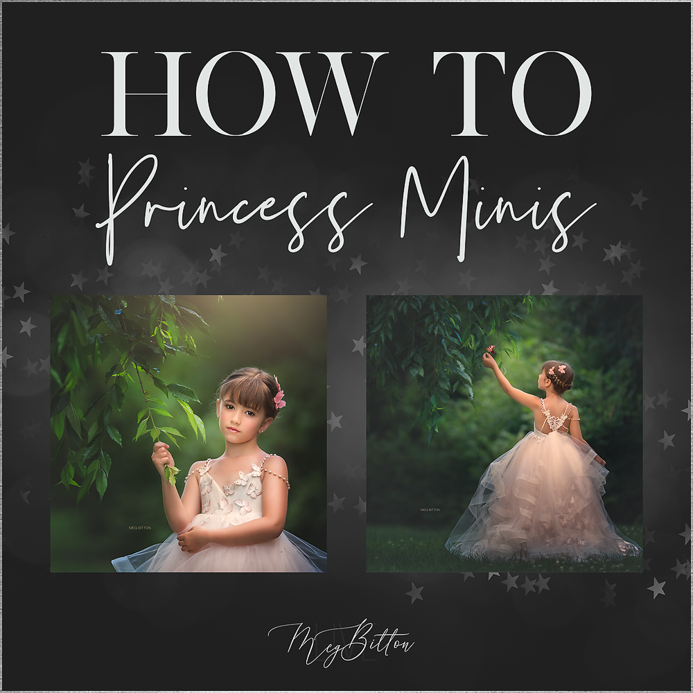 How To: Princess Mini Sessions - September 2019 – Meg Bitton Productions
