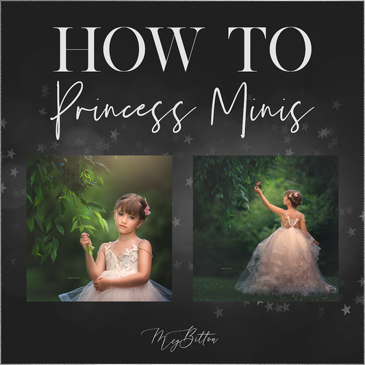 How To: Princess Mini Sessions - September 2019 - Meg Bitton Productions