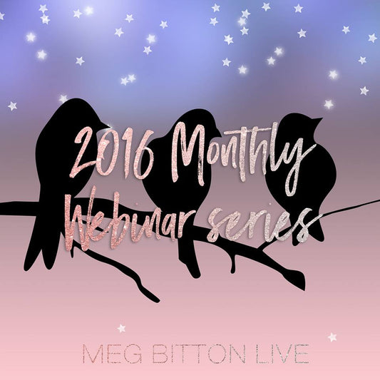 2016 First of the Month Webinar Series - Meg Bitton Productions