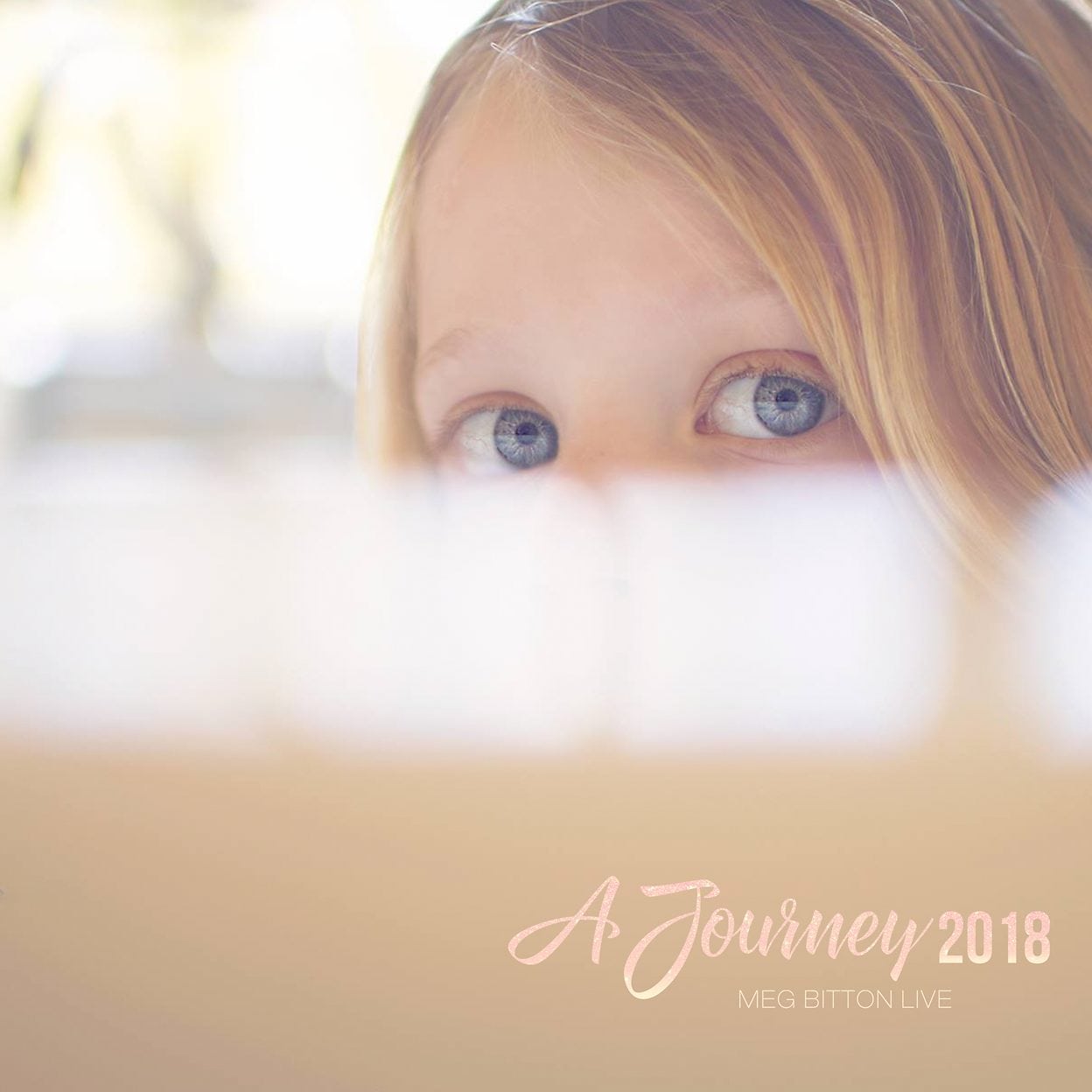 Journey 2018 - Meg Bitton Productions
