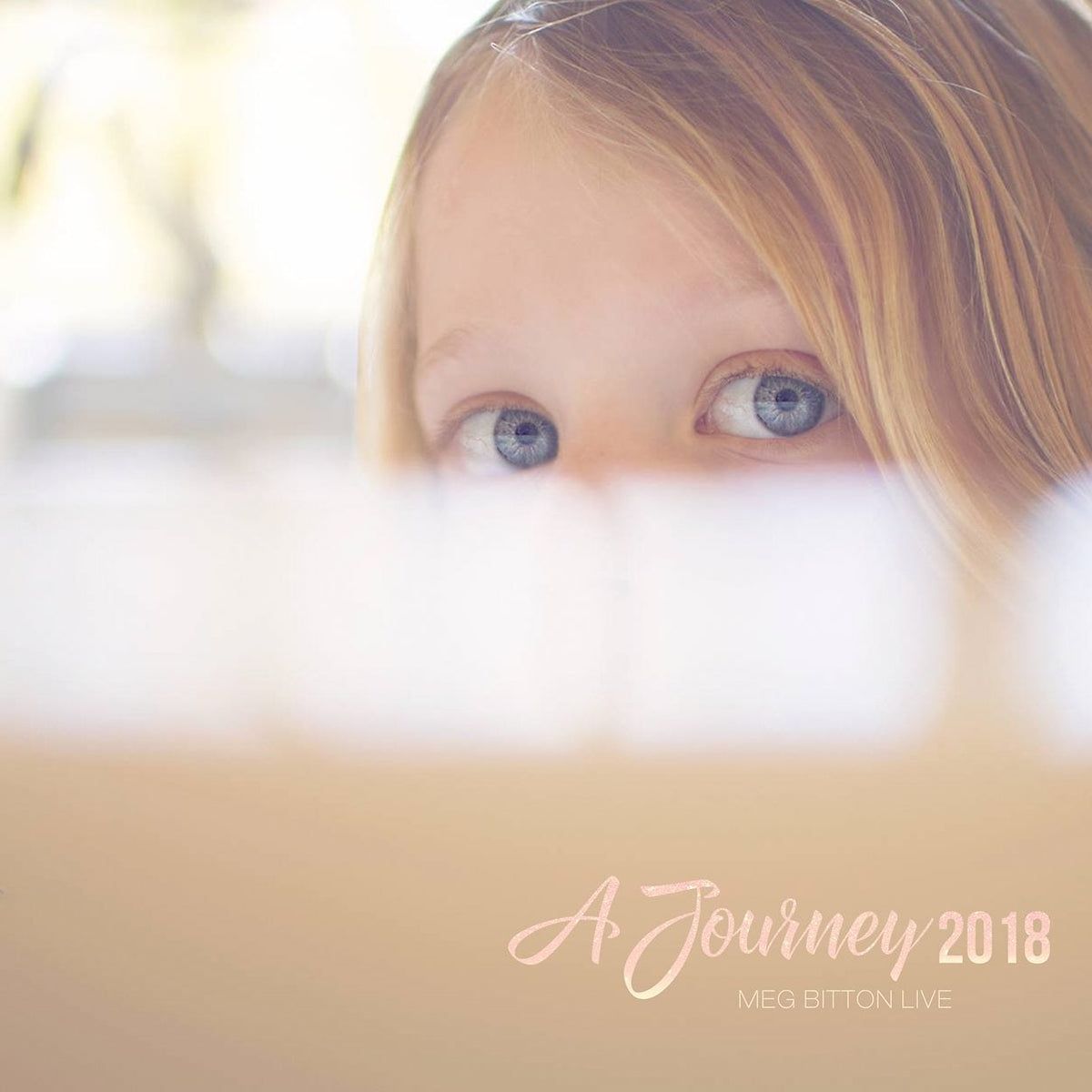 Journey 2018 - Meg Bitton Productions