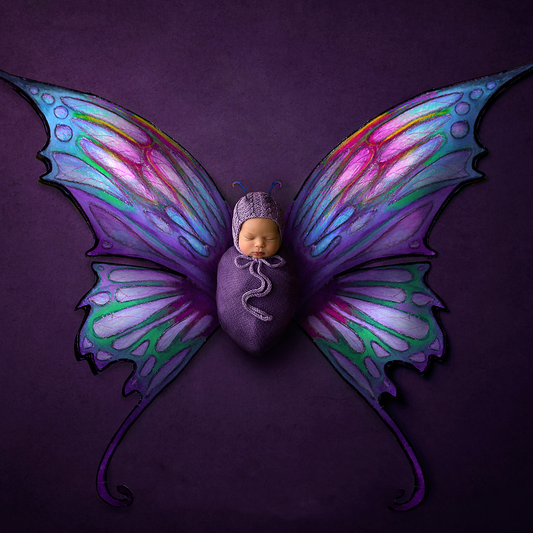Digital Background: Butterfly - Meg Bitton Productions