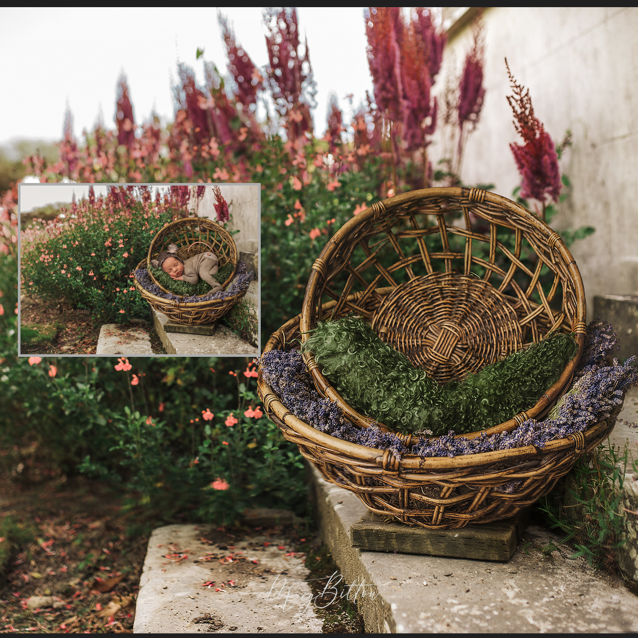 Digital Background: Garden Baskets - Meg Bitton Productions