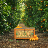 Digital Background: Orange Grove - Meg Bitton Productions