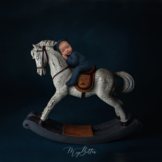 Digital Background: Rocking Horse - Blue - Meg Bitton Productions