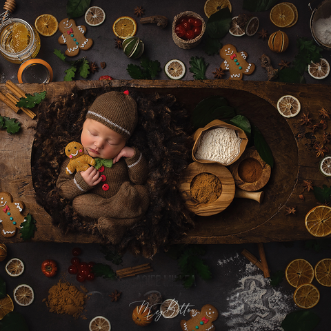 Digital Background: Gingerbread Baby - Meg Bitton Productions