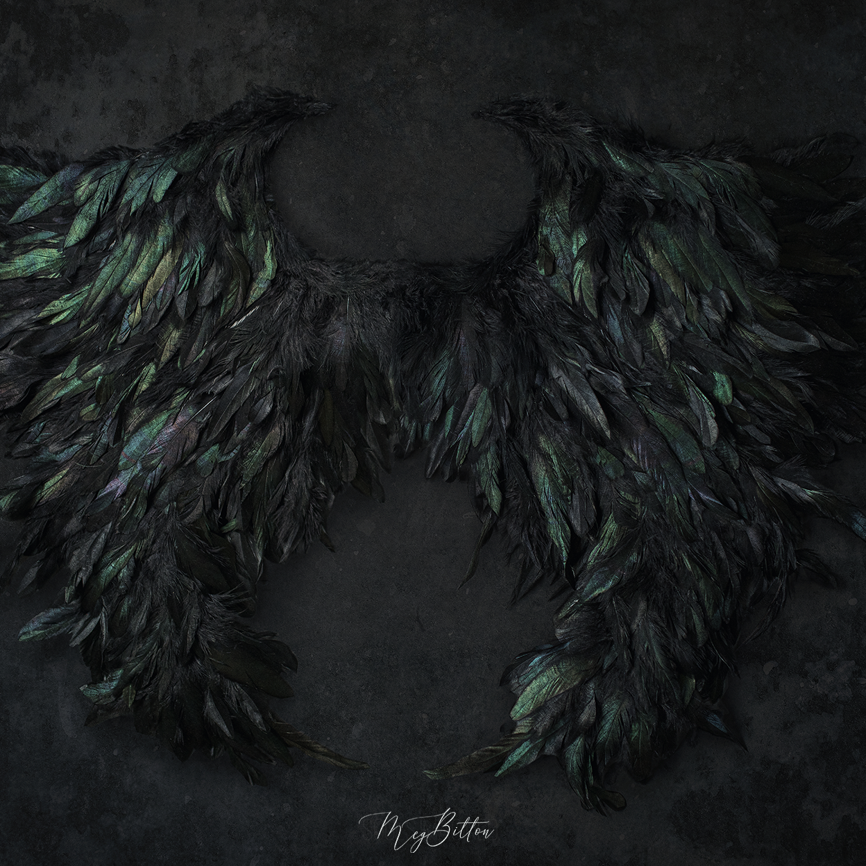 Digital Background: Black Wings