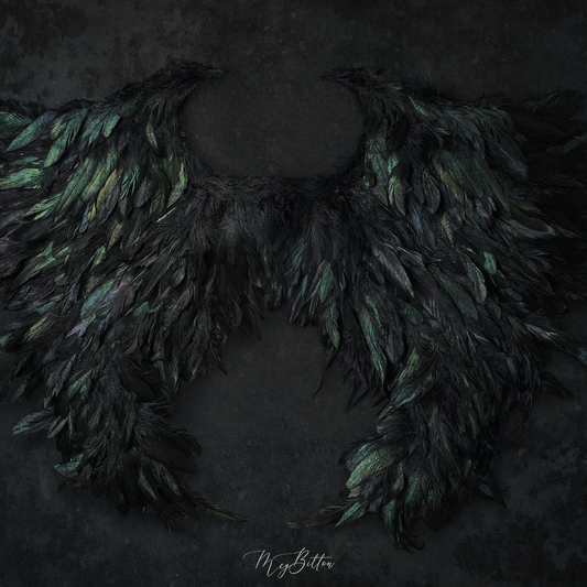Digital Background: Black Wings - Meg Bitton Productions