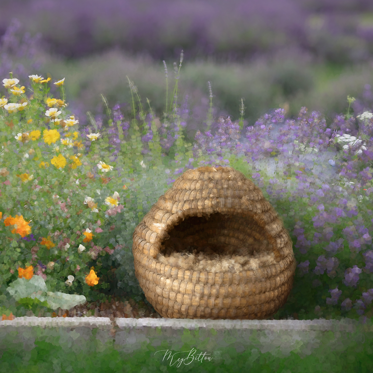 Digital Background: Wildflowers and Lavender - Meg Bitton Productions