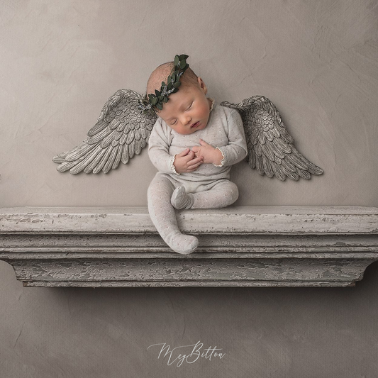 Newborn Kit: Angel Wings Shelf - Meg Bitton Productions
