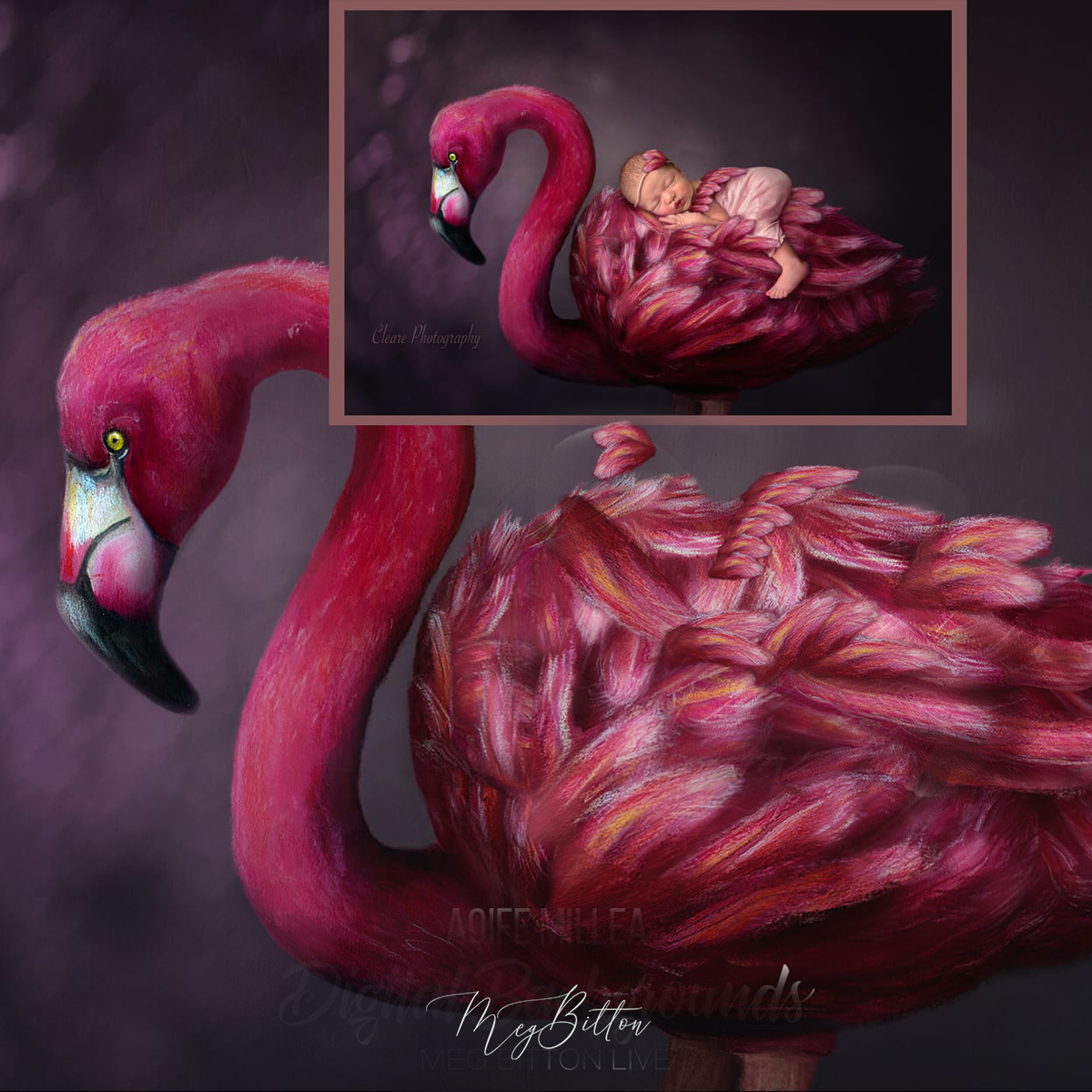 Newborn Kit: Flamingo - Meg Bitton Productions