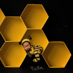 Newborn Kit: Honeycomb - Meg Bitton Productions