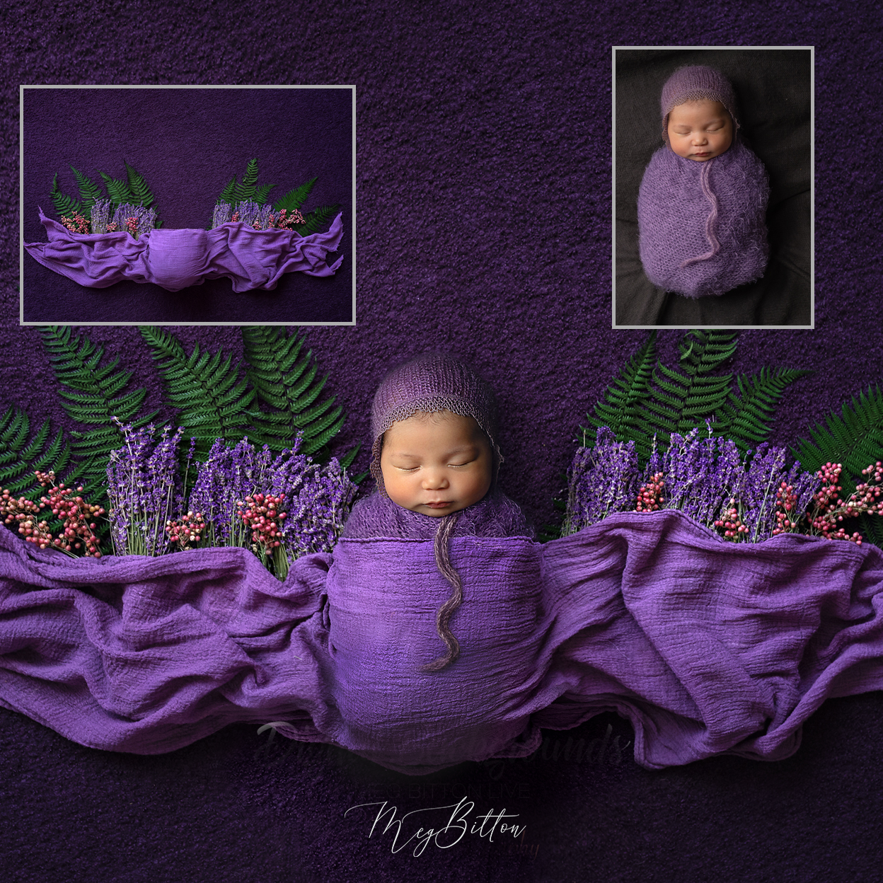 Newborn Kit: Lavender and Fern - Meg Bitton Productions
