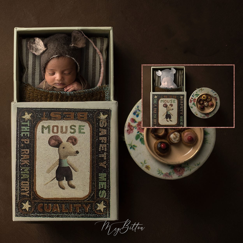 Newborn Kit: Mouse Matchbox - Meg Bitton Productions
