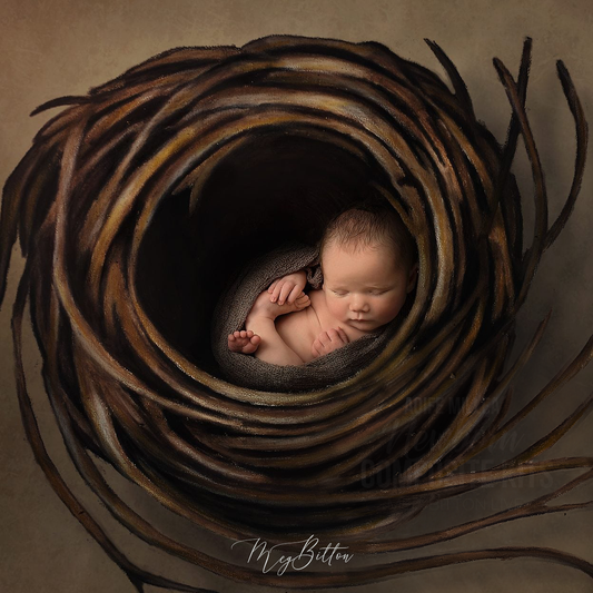 Newborn Kit: Nest - Meg Bitton Productions