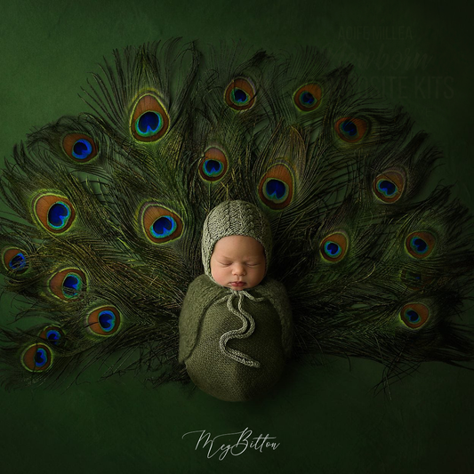 Newborn Kit: Peacock - Meg Bitton Productions