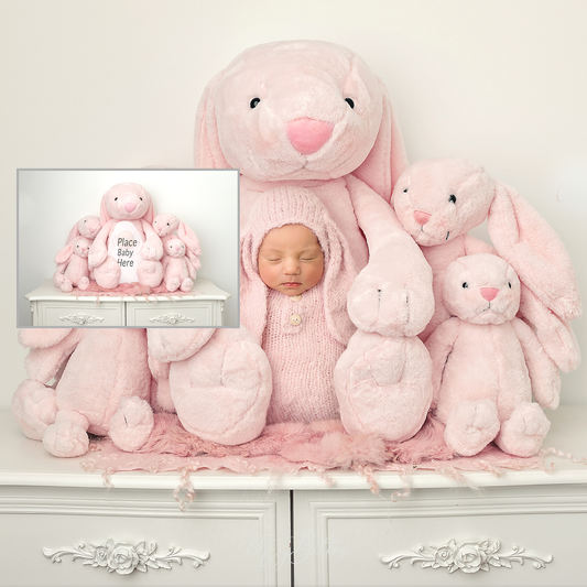 Newborn Kit: Dresser and Pink Bunnies - Meg Bitton Productions