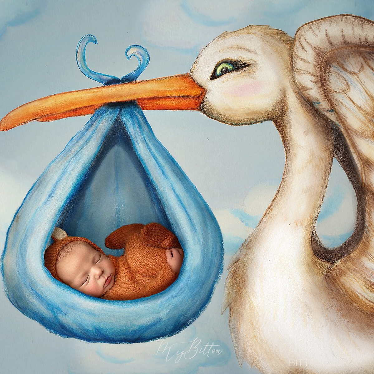Newborn Kit: Stork - Meg Bitton Productions