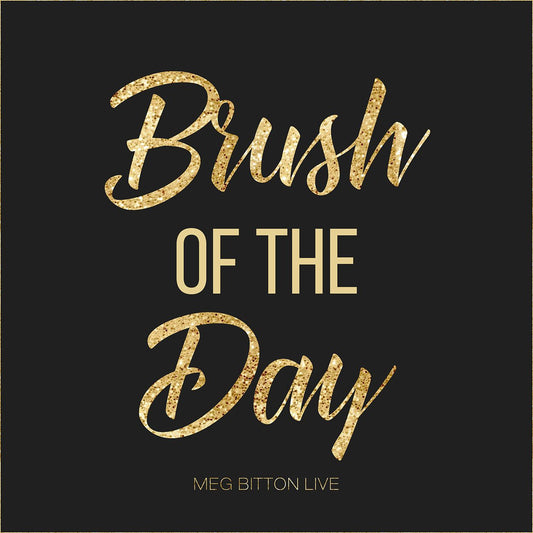 Brush of the Day - Meg Bitton Productions